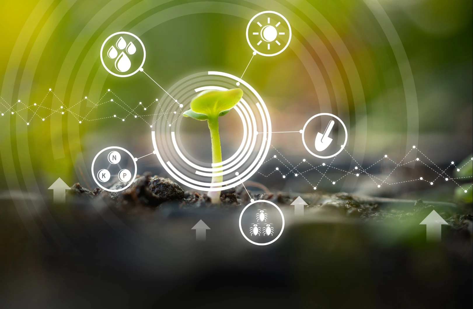 Et bilde fra Gartnerhallen