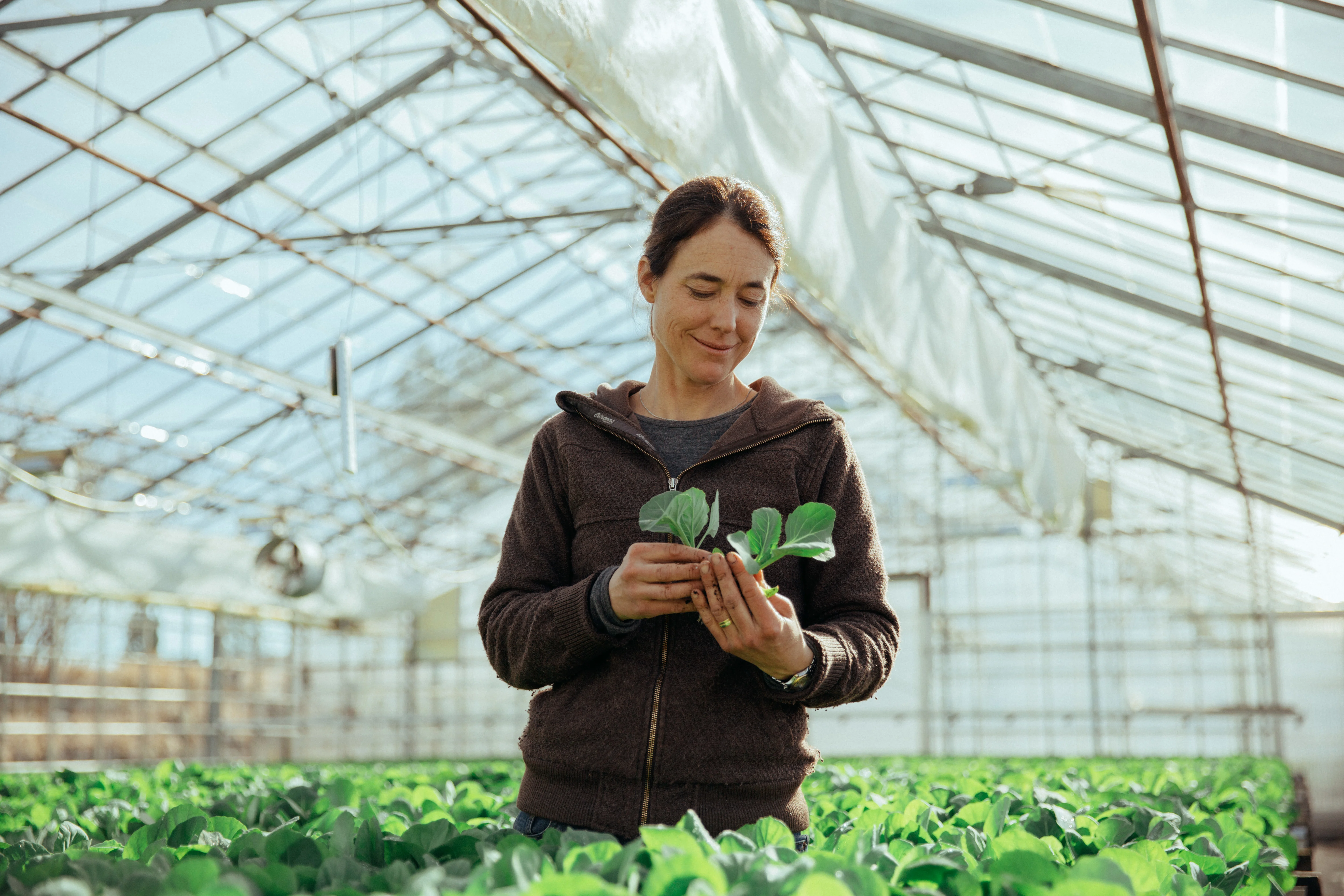 Karine Huseby Vestfold kålproduksjon