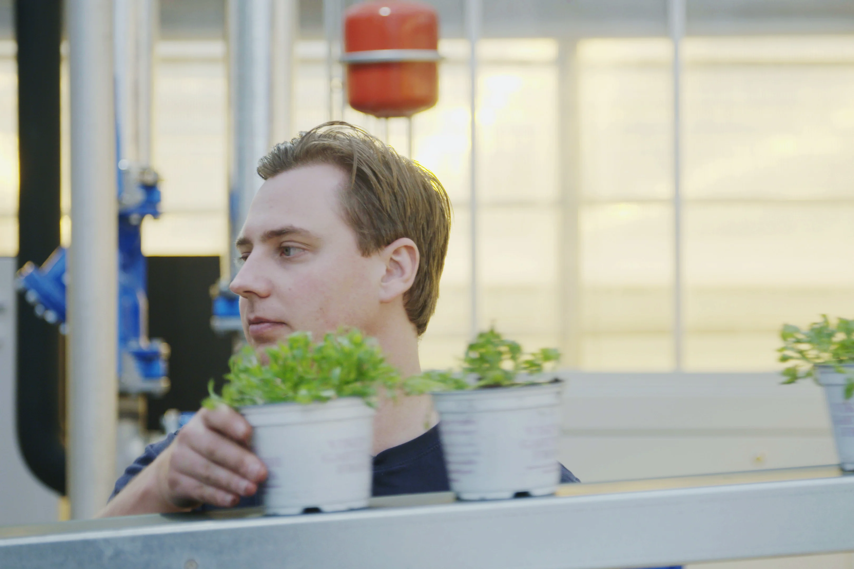 Urteproduksjon hos Karl Martin Viken