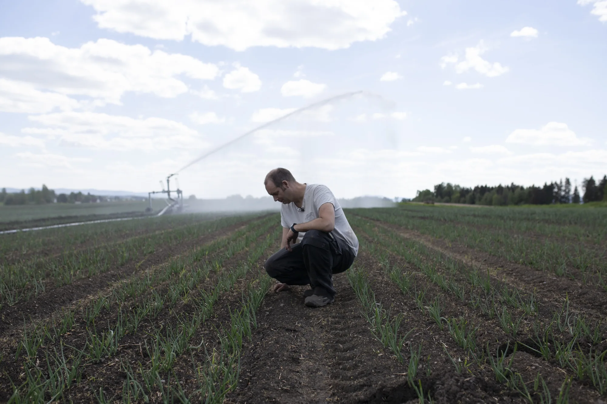 Nils Olve Gillund på åker