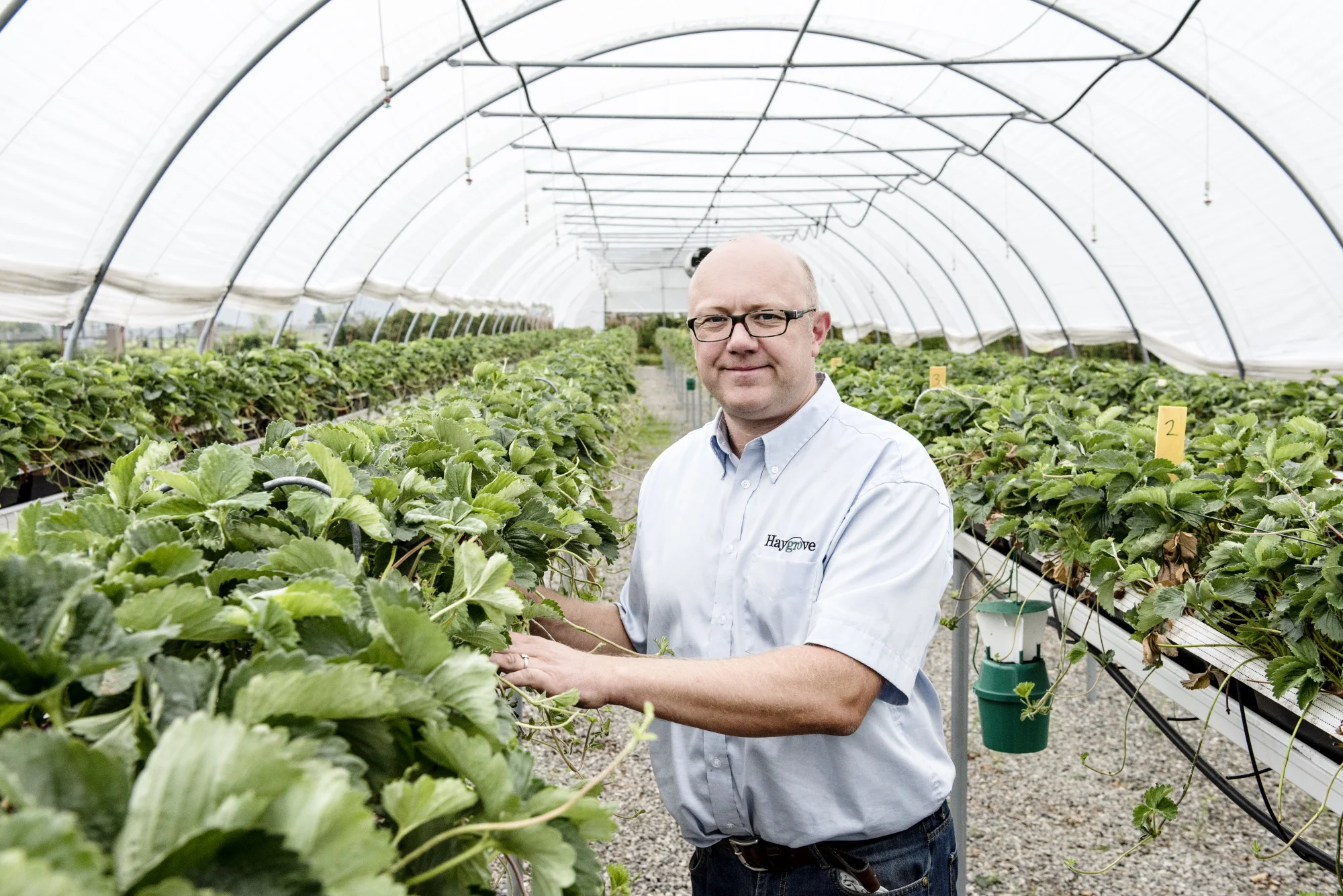 Et bilde fra Gartnerhallen