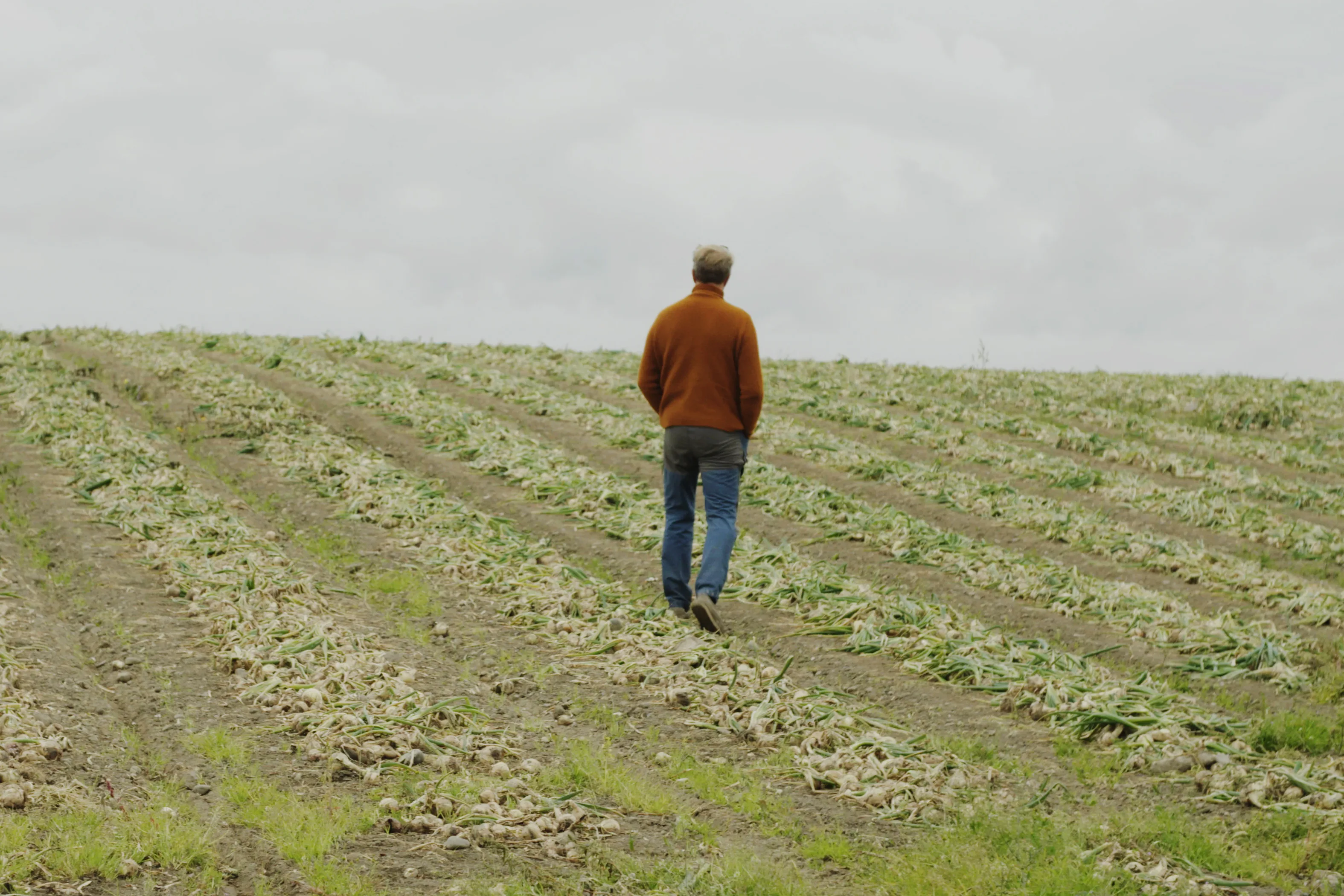 Et bilde fra Gartnerhallen