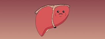 Most of the time the liver can cope with the extra fat  - but sometimes it is just NOT HAPPY