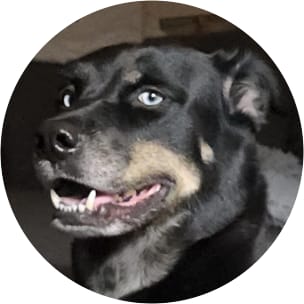 LB