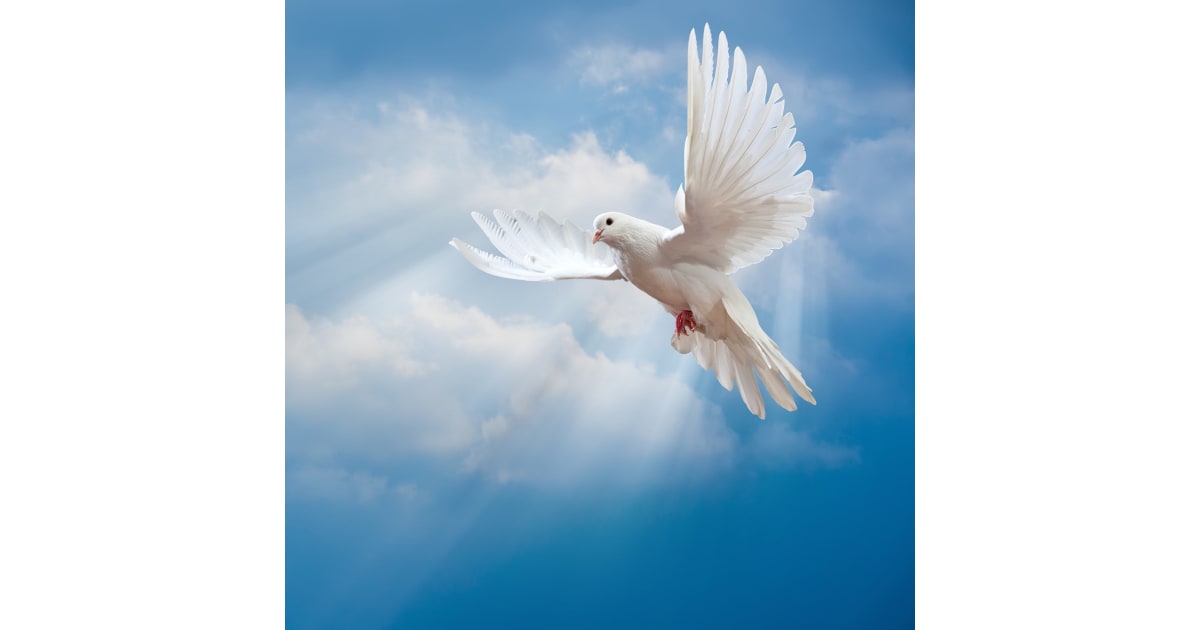 Portrait of Shemeika C. Davis