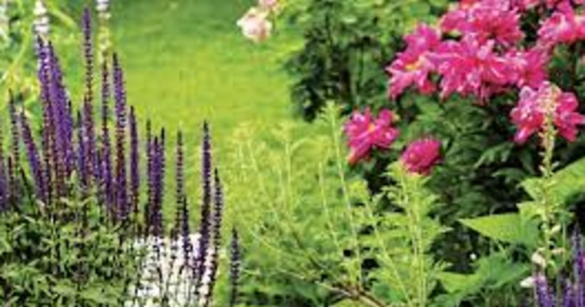 Monique Lemay Obituary (1946 2022) Springvale, Maine