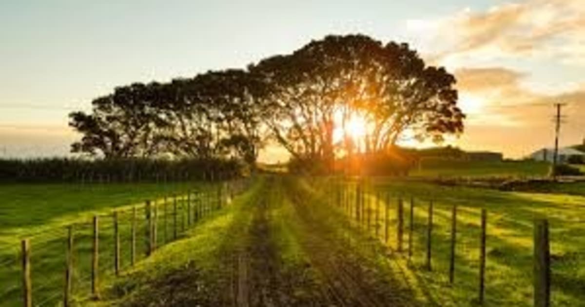 Leonardo Bautista Sr