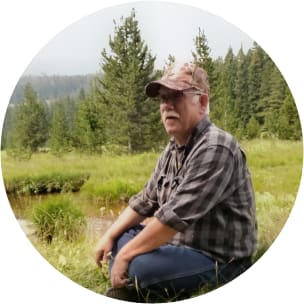 DW