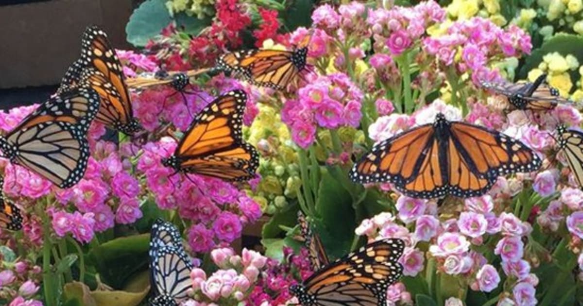 Martha E. Dube Obituary (1939 2024) Springvale, Maine