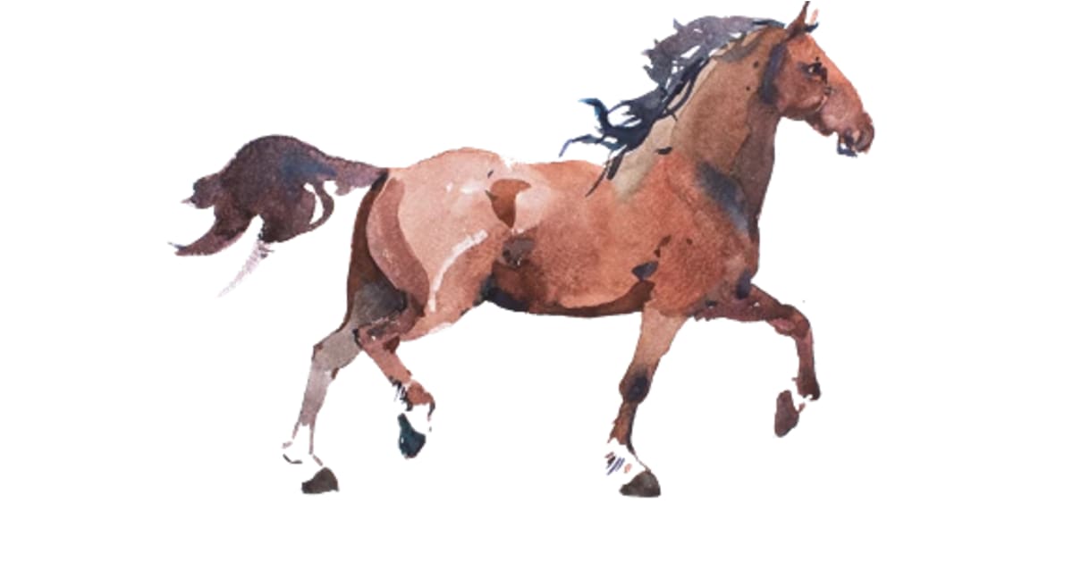 Donald Jack Murphy Madison, NC Obituary