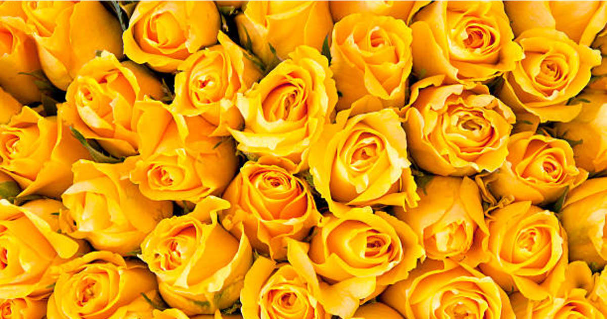 Annie Welsh Dahlonega, GA Obituary