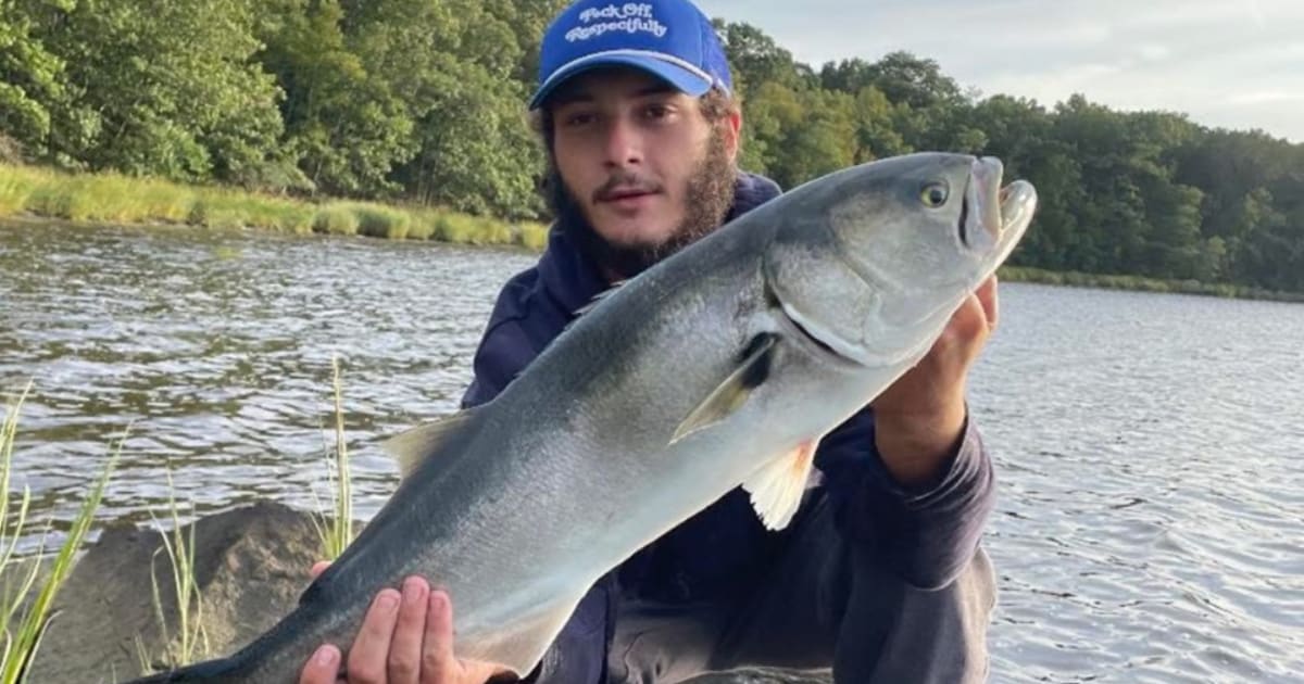 Nicholas Scott Almeida