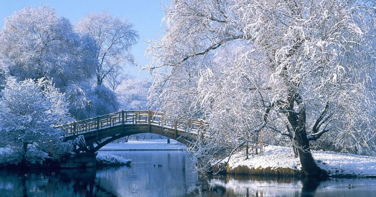 Frieda Velma Greathead