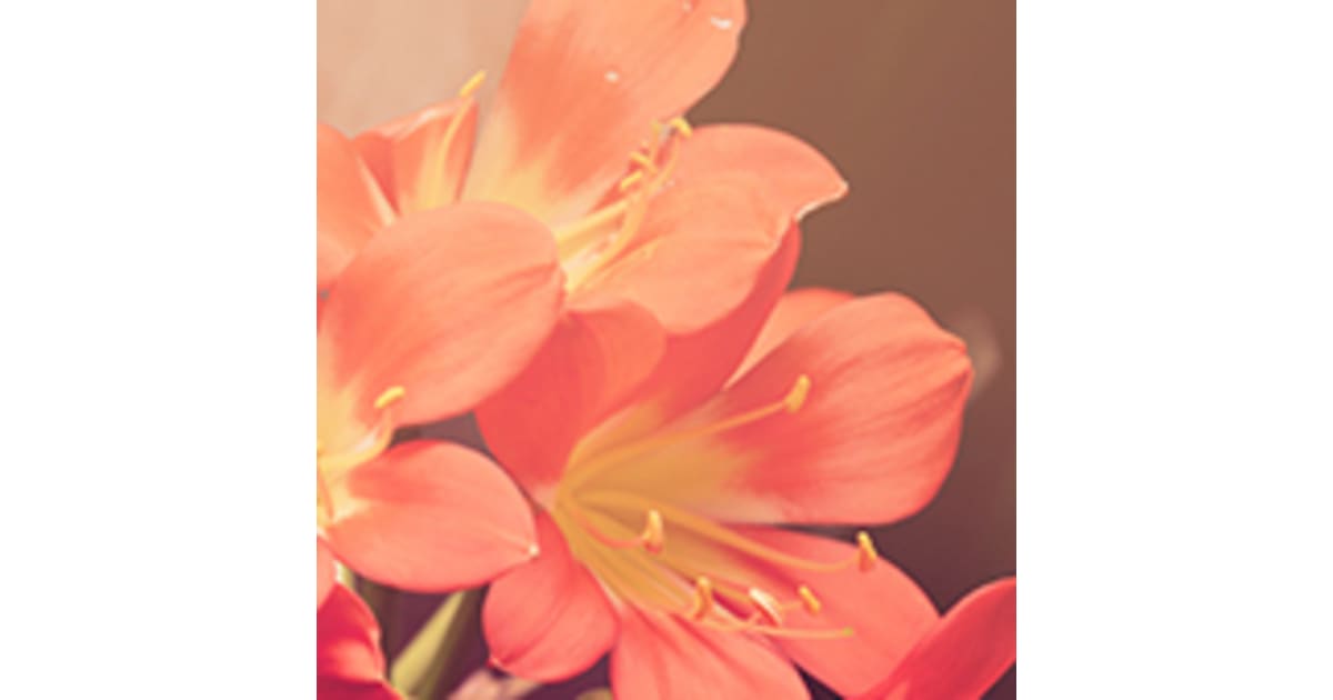 Sheri Lee Laursen Yakima, WA Obituary