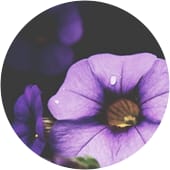 ES