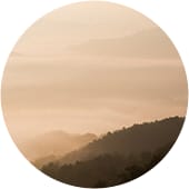MI