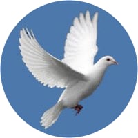 PL