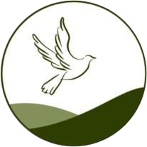 LP