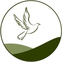 DP