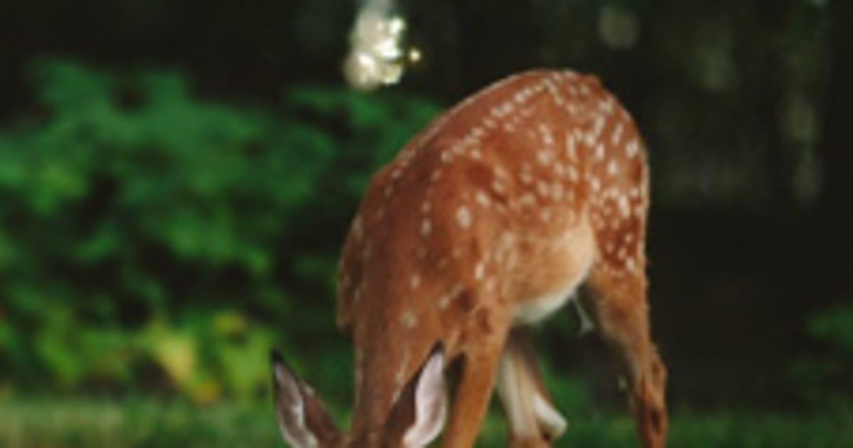 John David Roesch, Jr Obituary (1965 2023) Clinton, Illinois