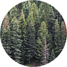 BE