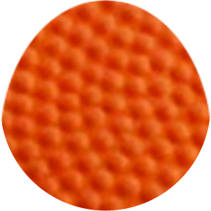 MS