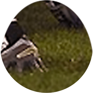 RH