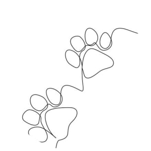 GH