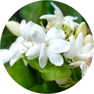 AA