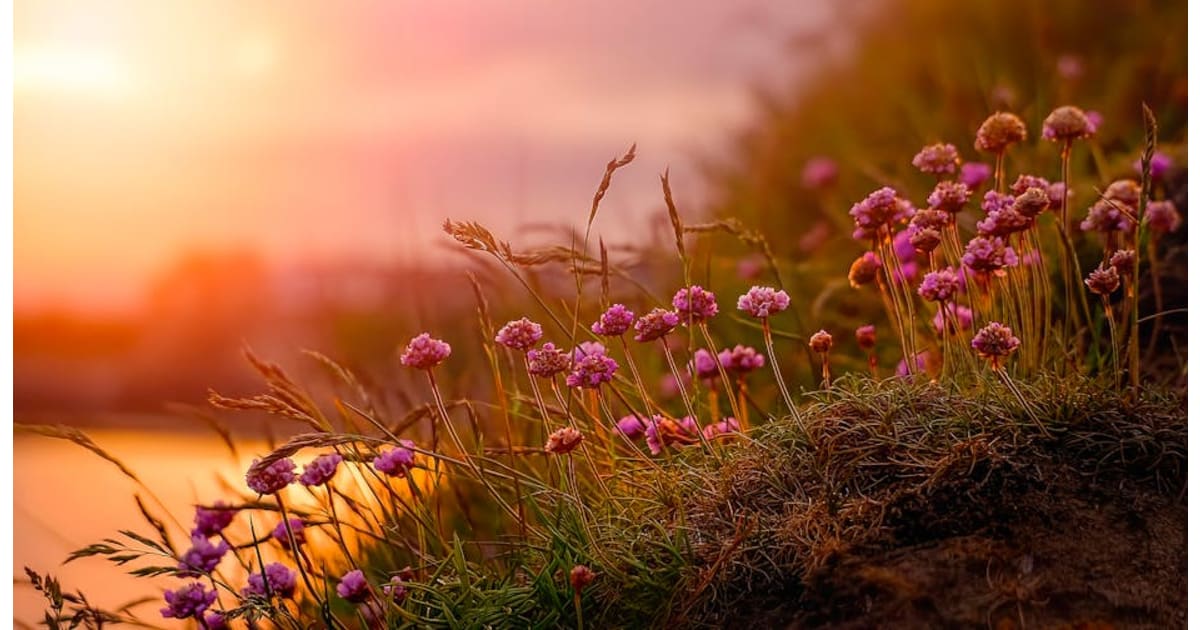 Jacquelyn Juanita Geyer