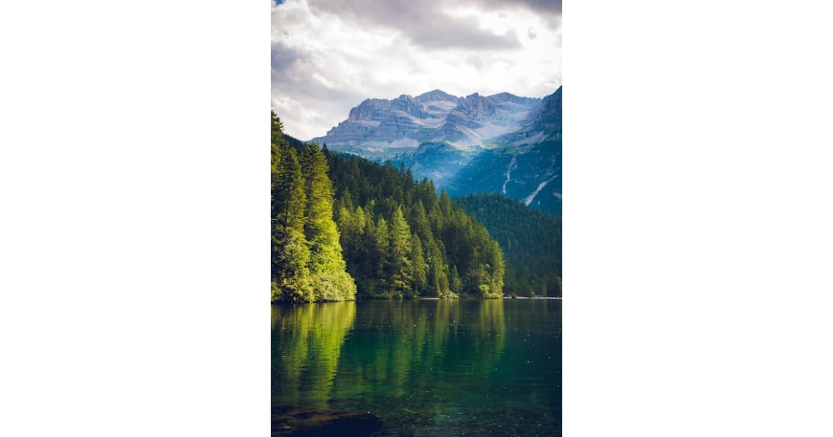 William Walter White