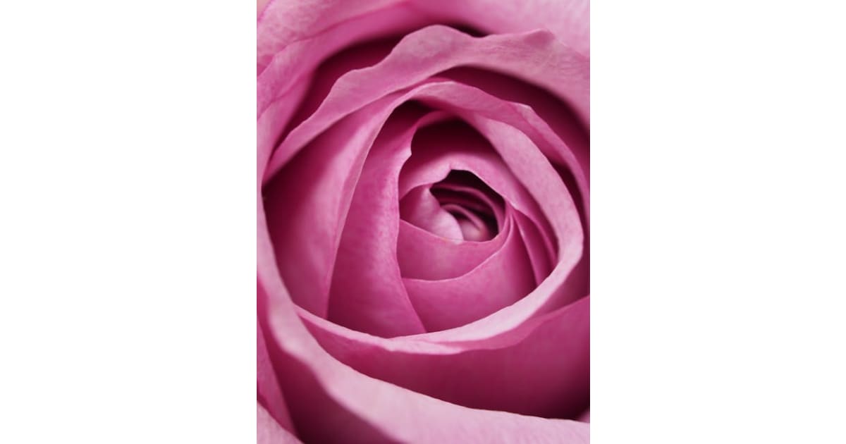 Sherretta Doolin Lover