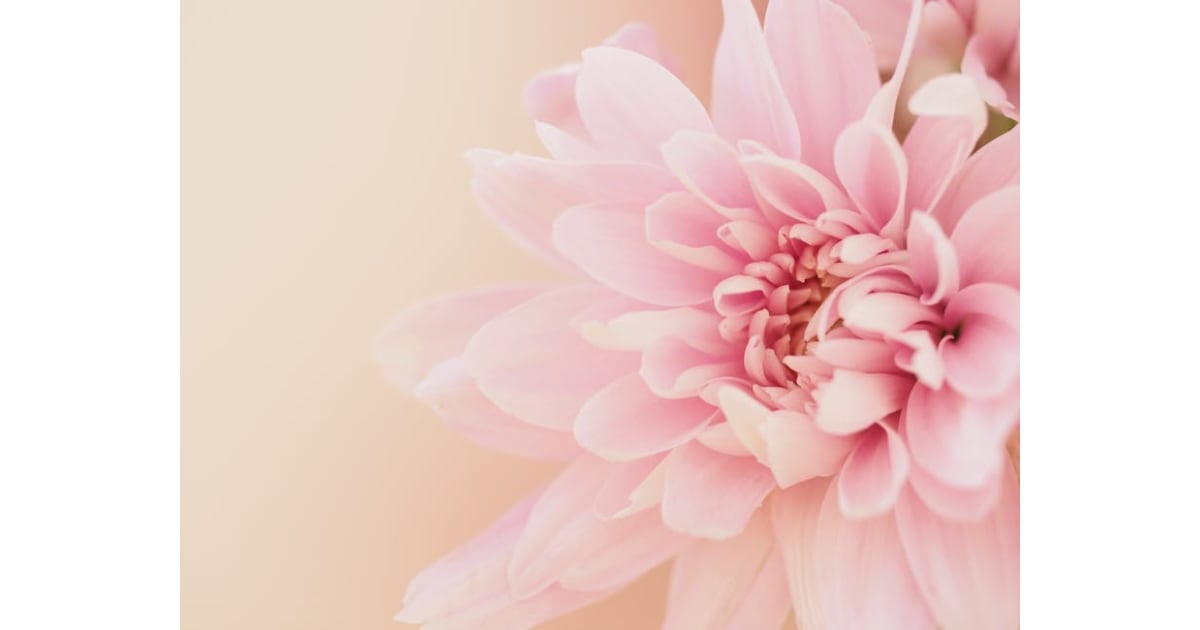 Camilla Yvette Mercier