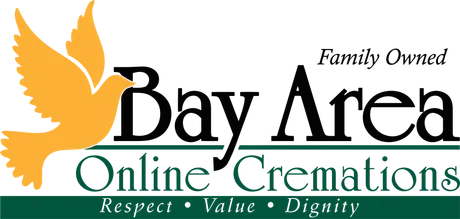 Bay Area Online Creations logo with orange eagle, black serif text, and green accent line