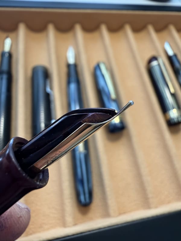 Vintage, Rare, and Flexible Fountain Pen Collection (Waterma