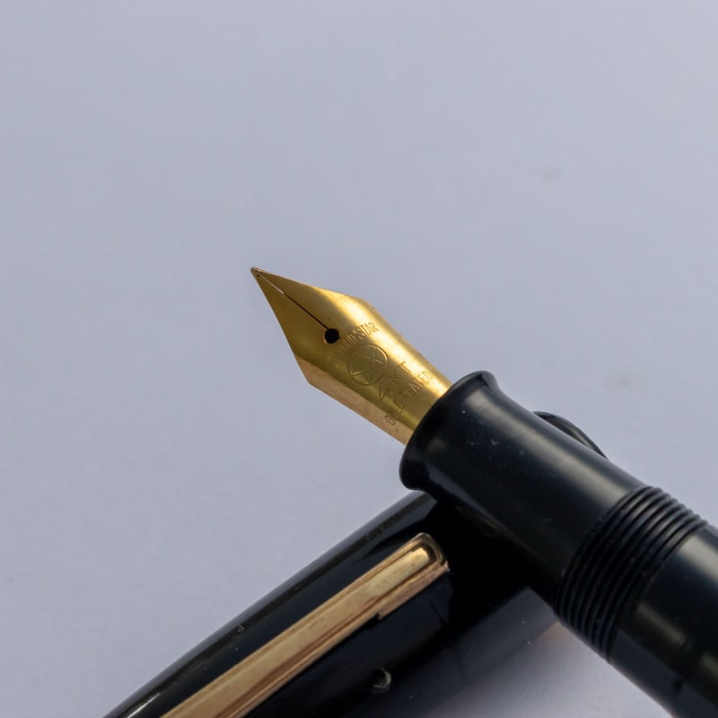 Nishio Urushi Ebonite Kindai Maki-e Crane Fountain Pen 14KT Iridium Nib