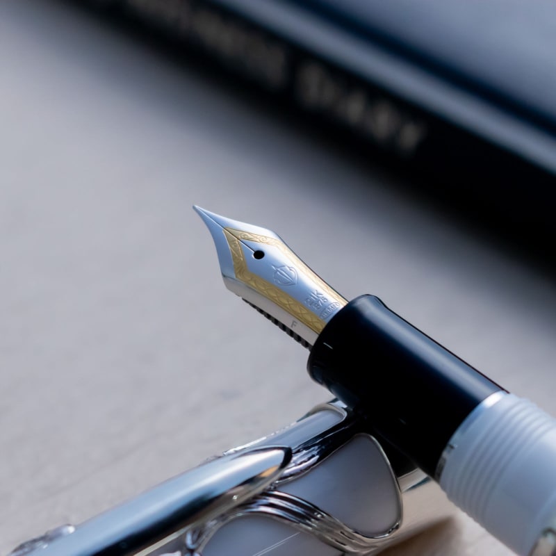 Kyomaru x Sailor Pro Gear Slim 21 Sterling Silver Dragonfly 21K Nib Fountain Pen