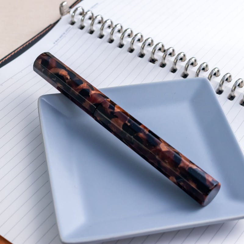 Wancher Kaleidao Autumn Groves Akikodachi Jowo #6 Broad Nib Fountain Pen Japan