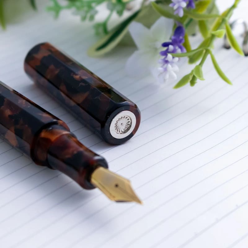 Wancher Kaleidao Autumn Groves Akikodachi Jowo #6 Broad Nib Fountain Pen Japan