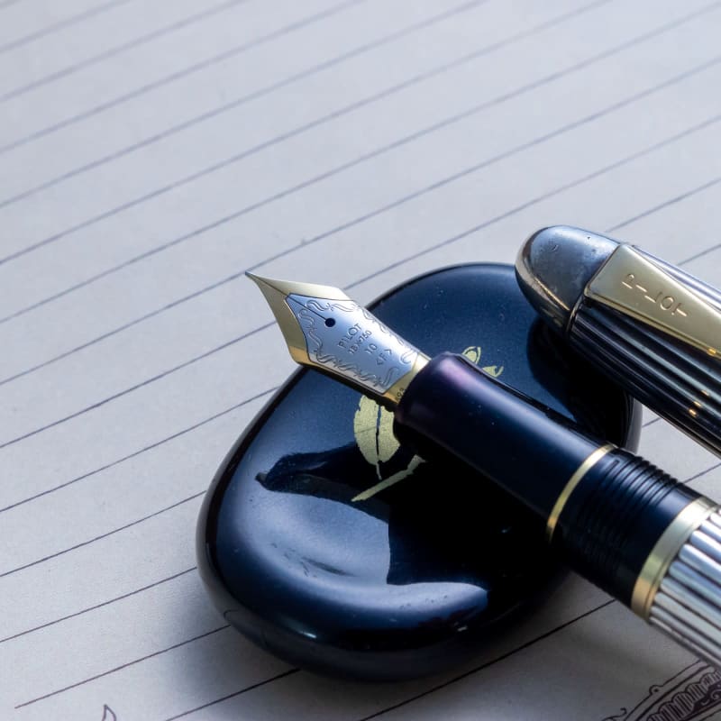 Pilot Custom 745 Sterling Silver 18K #10 F Nib Fountain Pen Japan