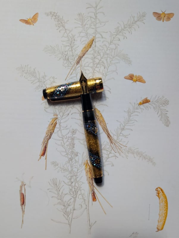 Sailor KOP + progear Sakura nagare prime minister