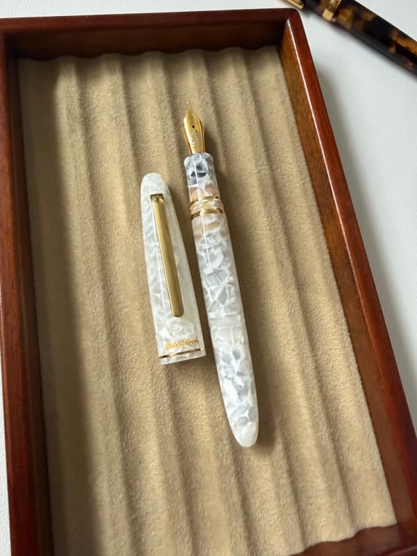 Platinum #3776 Century Celluloid Tortoise and/or Esterbrook Estie Winter White L.E.
