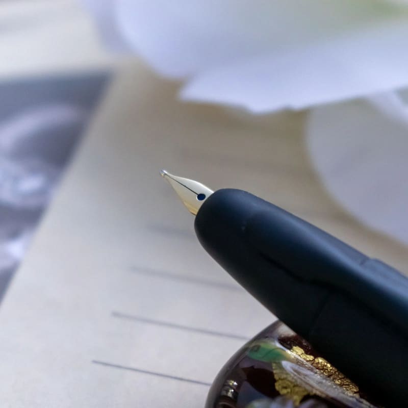 Pilot X Nolty 60Th Le 325/365 Capless Decimo 18K Fm Nib Fountain Pen Japan
