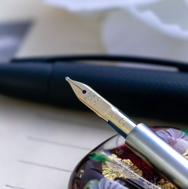 Pilot X Nolty 60Th Le 325/365 Capless Decimo 18K Fm Nib Fountain Pen Japan