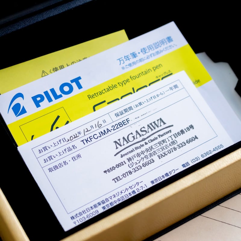 Pilot X Nolty 60Th Le 325/365 Capless Decimo 18K Fm Nib Fountain Pen Japan