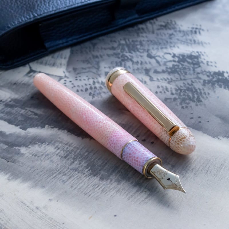 Platinum #3776 Century Celluloid Sakura 14K M Nib Fountain Pen Japan