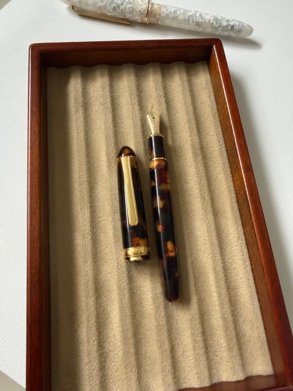 Combi Deal: Esterbrook Estie Sea Glass and Platinum #3776 Century Celluloid Tortoise