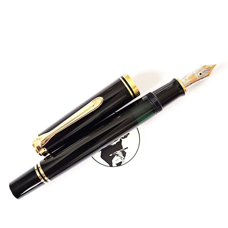 Pelikan M600 Fountain Pen