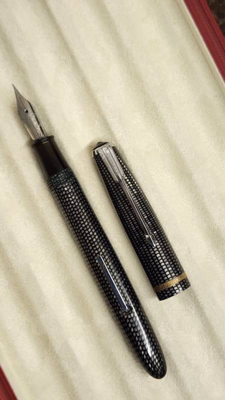 Vintage Japanese Platinum - "Lizard/Snake Skin" Celluloid - Steel chrome plated F nib 