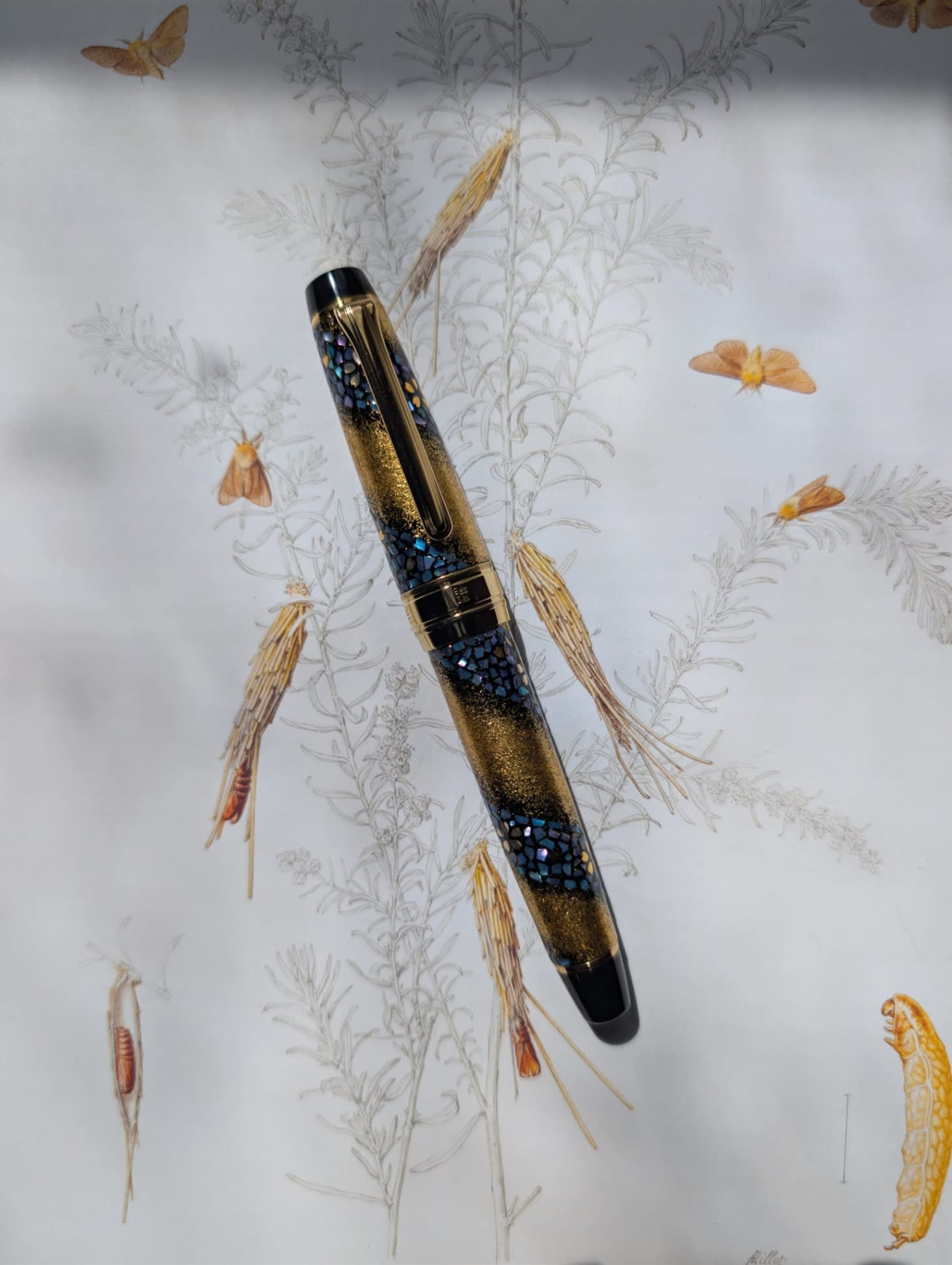 Sailor KOP + progear Sakura nagare prime minister